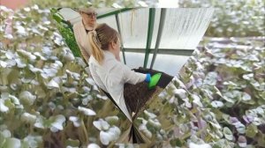 Юные новости. Выпуск 50.  «Песочница... профиль профессионального будущего Сахалин"