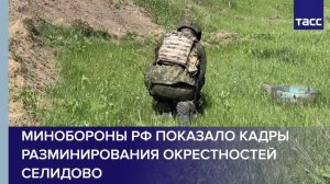 Минобороны РФ показало кадры разминирования окрестностей Селидово