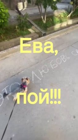 Караоке для  девочки Евочки.