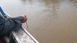 Поиск сетей в Чулыме