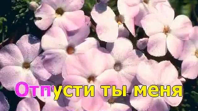 Виновата ли я смотреть онлайн