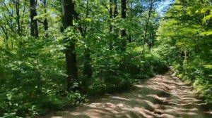 Поездка на квадроциклах в горах 2024. Горячий ключ. Квадроцикл. Горы. "Дыхание гор". Часть 3