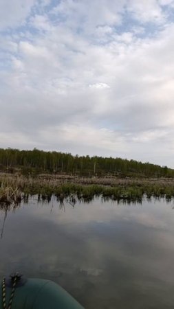 Мы начинаем