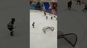 хоккей