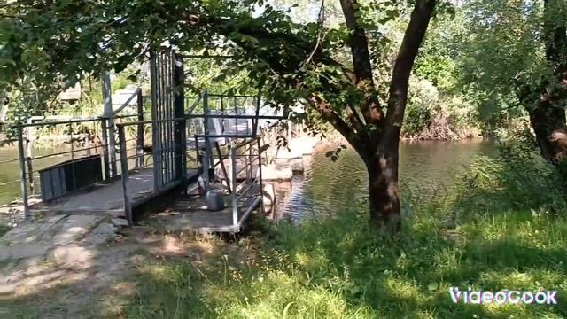 ПОДОРОЖ В ВИХІДНИЙ ! ПОШУКИ ГРИБІВ ! ТУРБАЗА ! СТАРЕ СЕЛО ! ЕТНО ХУТІР ! смотреть онлайн