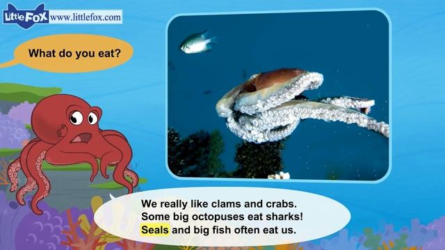 Meet the Animals 9 _ Octopus _ Wild Animals _ Little Fox _ Animated Stories for смотреть онлайн