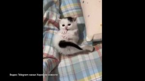 iNet 243. 19-05-2025