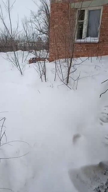 насосная станция первое видео смотреть онлайн