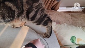 2024 г ГОСТЬ В КАРАВАНЕ _ КАЙФУЕМ НА КАЧЕЛЯХ _ МАНИКЮР У ВСЕЙ ЖЕНСКОЙ ПОЛОВИНЫ