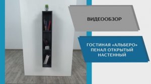 ТЭКС Видео обзор. Гостиная Альберо. Пенал настенный открытый.