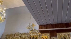 Обзор на покупку нового нейлера Yoshi