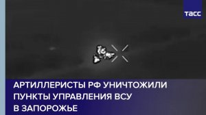 Артиллеристы РФ уничтожили пункты управления ВСУ в Запорожье