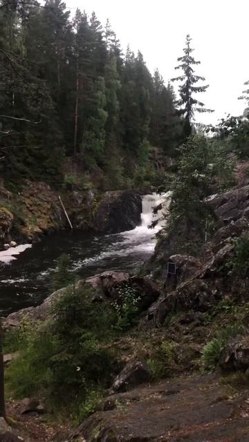 Водопад Кивач. Завораживающее зрелище. #путешествиенамашине #карелия #автоледи #отпуск2023 смотреть онлайн