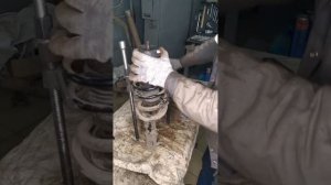 ((..Autoreali..)) в прямом эфире! Hyundai solaris замена опорные поду?