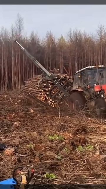 Мтз 80 #мтз #мтз80 #mtz #mtz82 #трактор смотреть онлайн