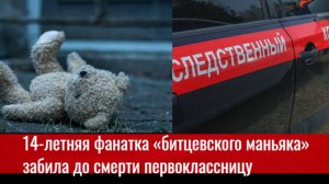 В Бердянске 14-летняя фанатка «битцевского маньяка» забила до смерти первоклассницу