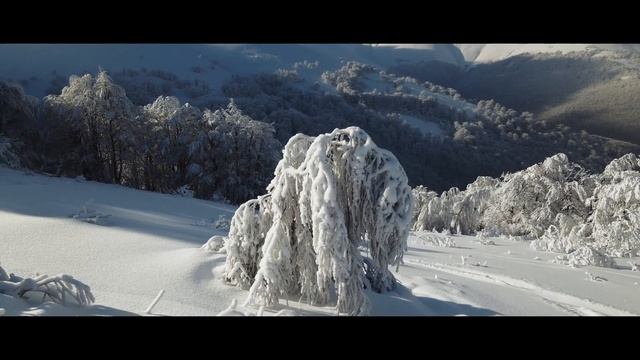 Засніжені Карпати 2021 Snowy Carpathians 2021