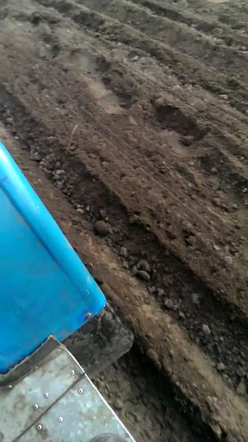 Посадка картофеля Зим 350, 650 смотреть онлайн