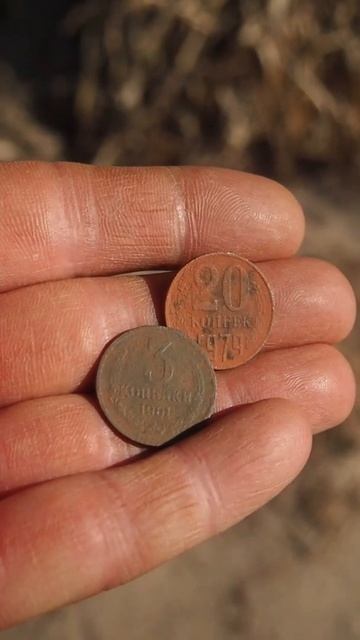 поиск с металлоискателем смотреть онлайн