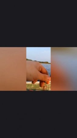 Ловим окуней и красоты лесного озера