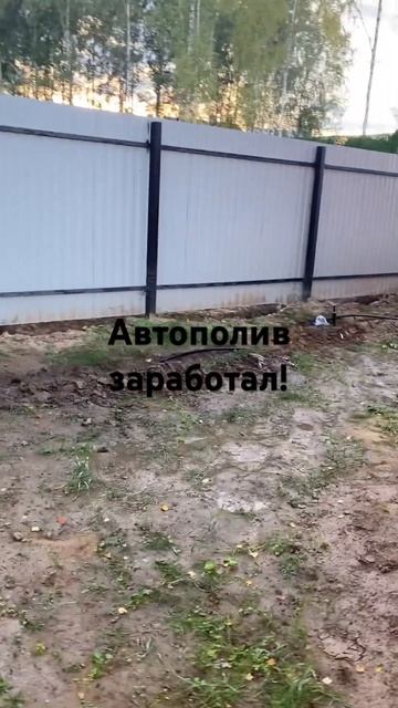 Заработал авто полив после замены шланга на более тол? смотреть онлайн