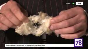 Мериносовая шерсть. Обзор от Тиссуры