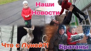 Наши новости/Что с Луной?!/Странные сны.Я не против/Болталка 14.05.25