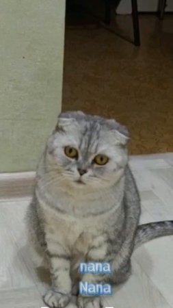 Старый вонючий дед