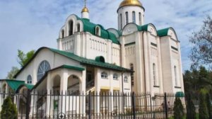 Квартира с видом на сосновый бор