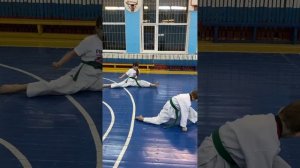 Программа аттестации на 10 гып (белый пояс) по тхэквонд?