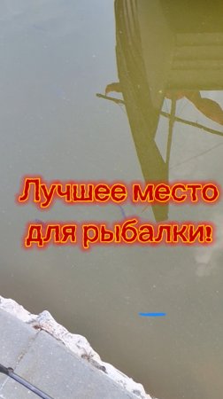 Хорошее место для рыбалки!