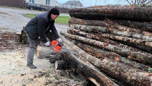 Распил дров бензопилой Oleo-mac 3.5 кВт. Берёза.