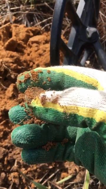 Коп #клад #металлоискатель #находим #металлолом #дерев? смотреть онлайн