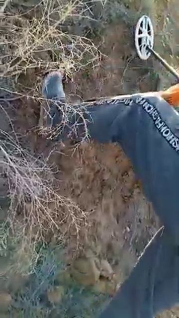 Белая катушка хр деус поиск клада монет и металлолома смотреть онлайн