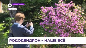 В Ботаническом саду во Владивостоке прошел фестиваль «Дни Р»