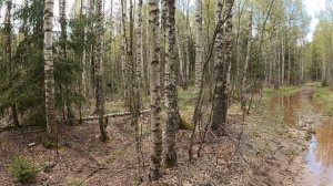 Как Пётр-Трэвэл преодолел трудности в своём велопутешествии