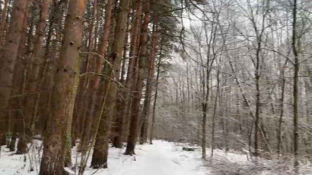 Фитнес-клуб, проблема выбора | Который лучше или котор? смотреть онлайн