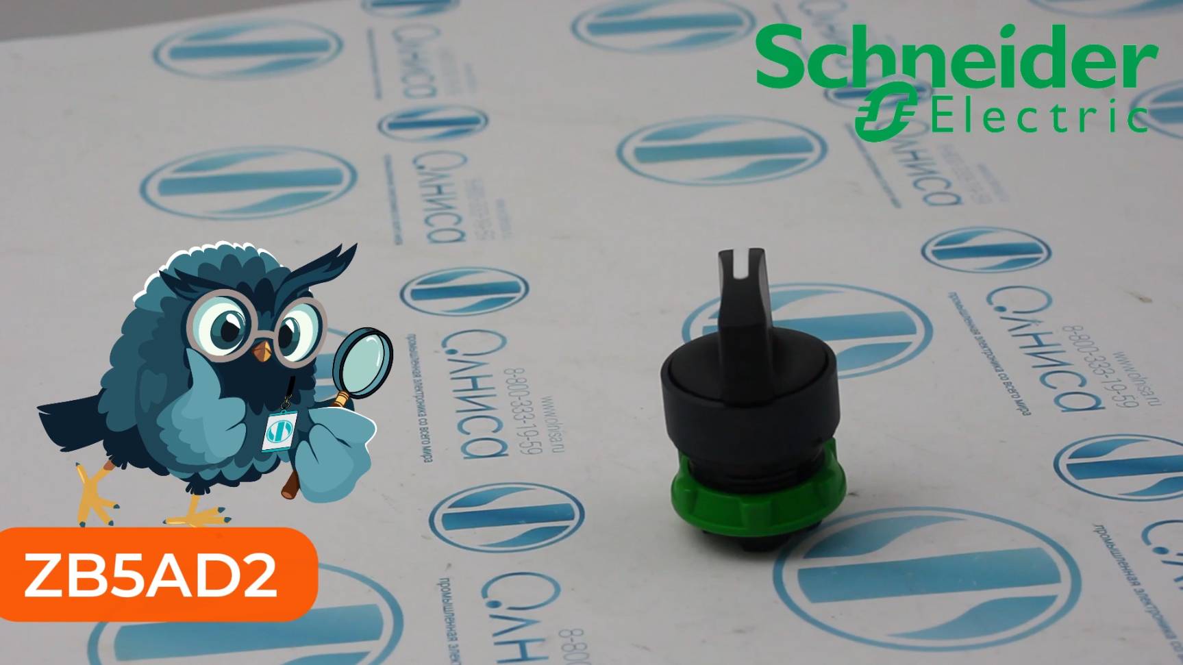 ZB5AD2 Головка для переключателя Schneider Electric - Олниса