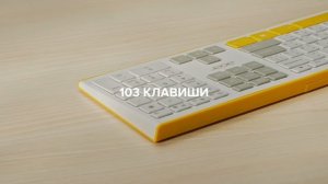 Acer Color Collection Accessories