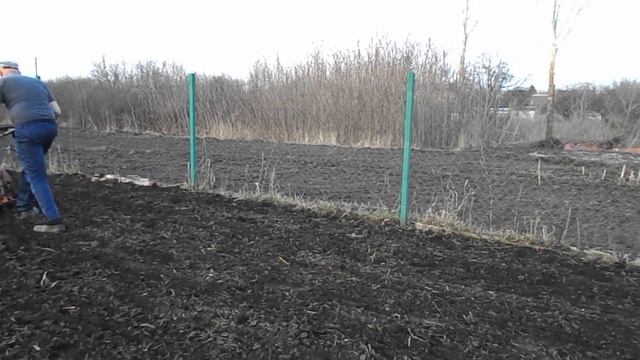 Начало сезона 2024 мотоблок + борона смотреть онлайн