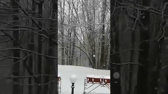 Сняг заваля на Бузлуджа до хижа Диана смотреть онлайн