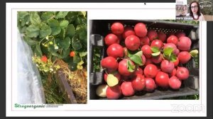 Алсу Измайлова / отзывы об онлайн-школе садоводов Strogoorganic