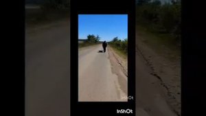 36 полк.25 армия