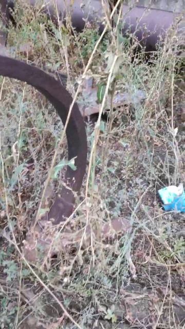 Культиватор противоэрозийный КПЭ-3,8 экспресс-обзор от смотреть онлайн