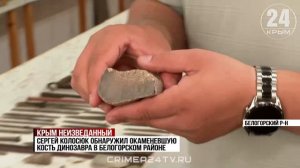 В Белогорском районе обнаружили окаменевшую кость динозавра