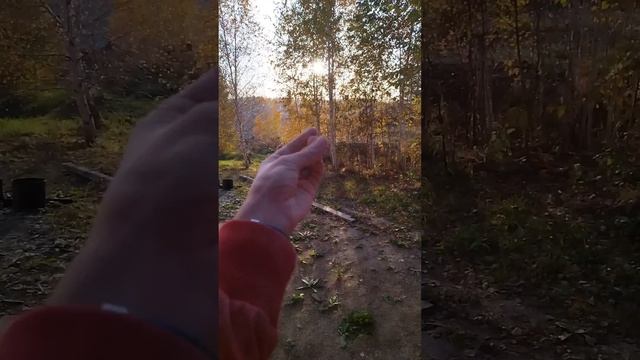 Изготовление тумбы из березы от А до Я смотреть онлайн