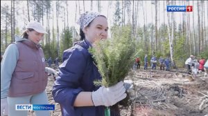 Костромичи за один день посадили 9 тысяч сеянцев ели