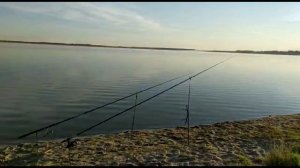 Удачная рыбалка