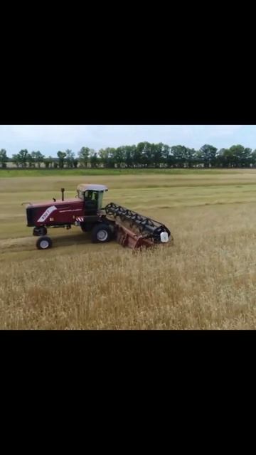 косилка самоходная универсальная КСУ-1 Ростсельмаш смотреть онлайн