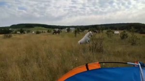 Поход 02.04.2024